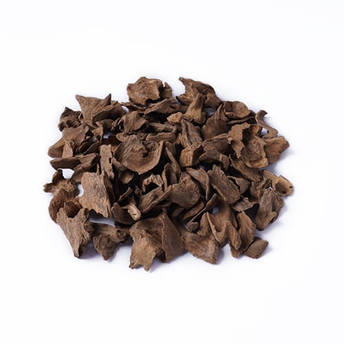 جيبورا مناسبات قواقع