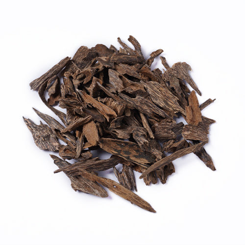 جنوب تايلاند