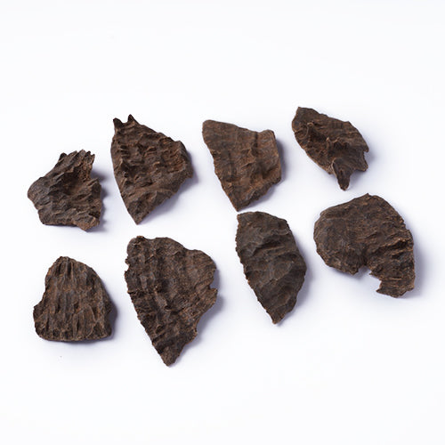 جار الصالحية