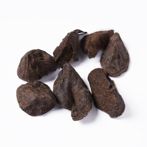 كلمنتان قواقع